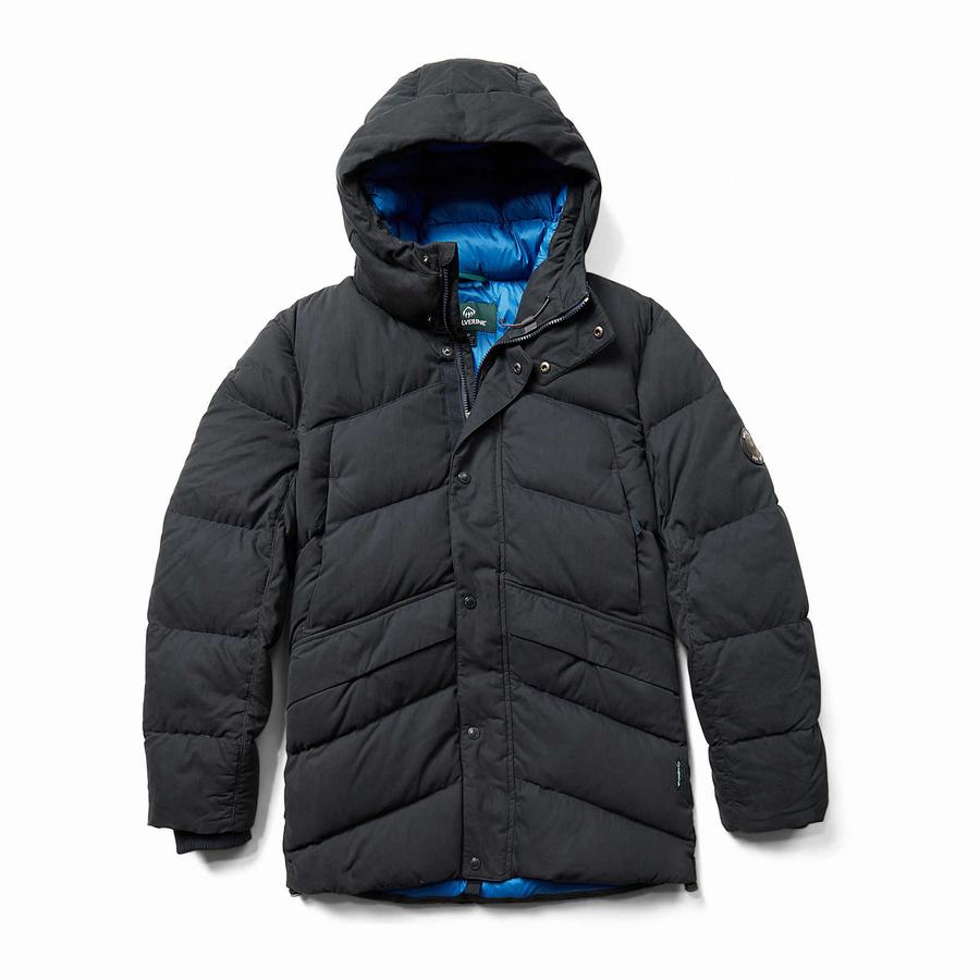 Wolverine Frost Down Parka Jassen Heren Donkerdonkerblauw | CAX128JM